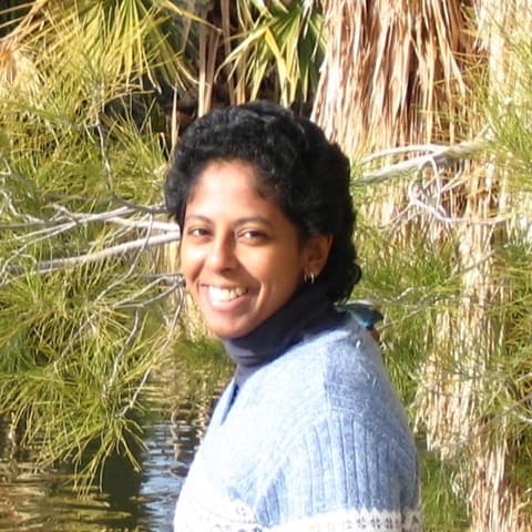 Sai Honig
